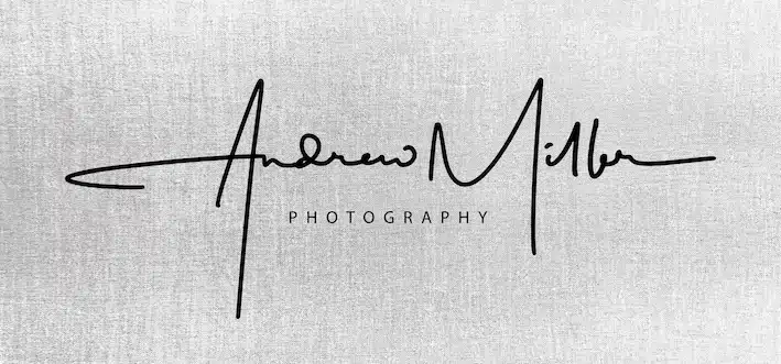 Digital & Legal Signature Styles