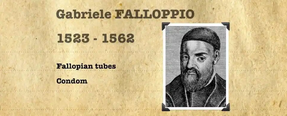 Gabriele Falloppio