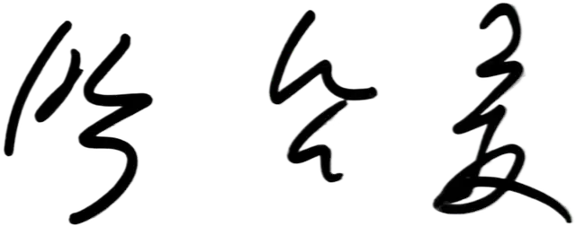 Nam June Paik signature