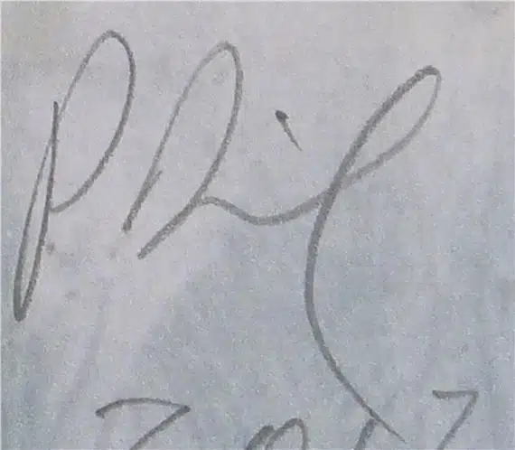 Peter Doig signature